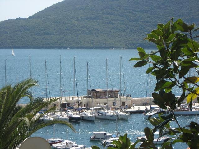 Apartments Forte Mare Herceg Novi Exterior photo